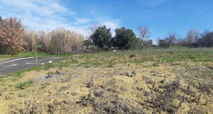 Villeneuve-lès-Bouloc Terrain à bâtir - 2320307-5202annonce320251029FT4PS.jpeg Maisons Open