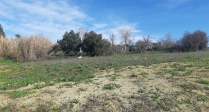 Villeneuve-lès-Bouloc Terrain à bâtir - 2320307-5202annonce4202510290EKNp.jpeg Maisons Open