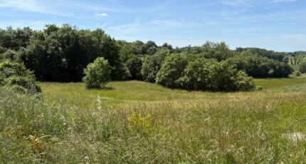 Saint-Jean-Lherm Terrain à bâtir - 2316309-11356annonce320251024rE3nt.jpeg Maisons Open