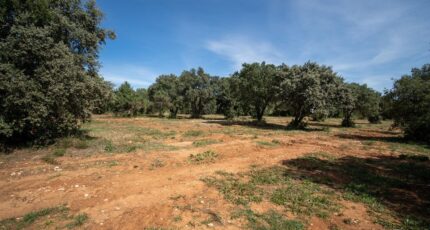 Saint-Siffret Terrain à bâtir - 2315089-3243annonce120251023o3ntS.jpeg Maisons Open