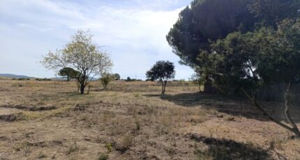 Poussan Terrain à bâtir - 2318707-3243annonce12025102787XcM.jpeg Maisons Open