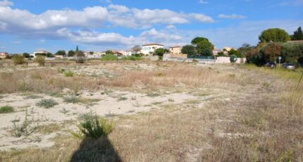 Loupian Terrain à bâtir - 2319323-3243annonce120251027gWsNw.jpeg Maisons Open