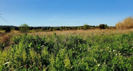 Loupian Terrain à bâtir - 2377652-11507annonce120251229ROtsR.jpeg Maisons Open