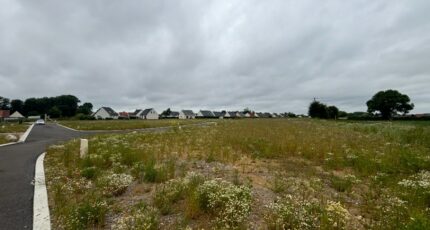 Wardrecques Terrain à bâtir - 2377246-11655annonce220251229MTwbz.jpeg Maisons Open