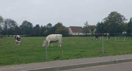 La Rue-Saint-Pierre Terrain à bâtir - 2378794-1887annonce220251230xnRbT.jpeg Maisons Open