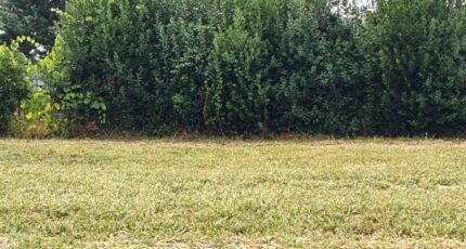 Samonac Terrain à bâtir - 2357443-11015annonce120251204SWG0L.jpeg Maisons Open