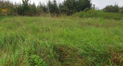 Gauriaguet Terrain à bâtir - 2371926-11015annonce12025121859Kdz.jpeg Maisons Open