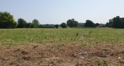 La Lande-de-Fronsac Terrain à bâtir - 2373344-11015annonce120251220FONgt.jpeg Maisons Open