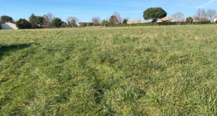 Corme-Royal Terrain à bâtir - 2379476-11194annonce220260102uauV1.jpeg Maisons Open