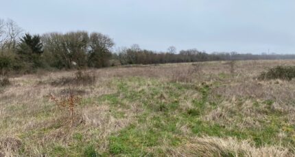 Pont-l'Abbé-d'Arnoult Terrain à bâtir - 2379488-11194annonce220260102l8qNT.jpeg Maisons Open