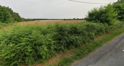 Mortagne-sur-Sèvre Terrain à bâtir - 2319125-11105annonce120260101whnRg.jpeg Maisons Open