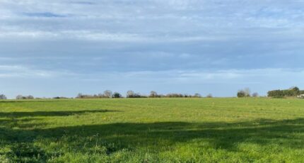 Port-des-Barques Terrain à bâtir - 2379541-11194annonce220260102nxneR.jpeg Maisons Open