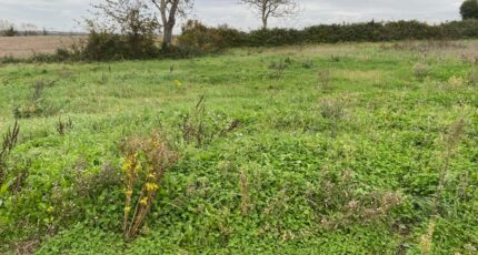 Surgères Terrain à bâtir - 2379560-11194annonce220260102FzTHx.jpeg Maisons Open