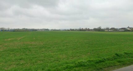 Marolles-sur-Seine Terrain à bâtir - 2325099-10545annonce120251031MJVP7.jpeg Maisons Open