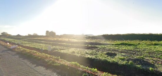 Terrain à bâtir à Harnes, Hauts-de-France