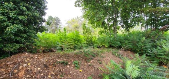 Terrain à bâtir à Pontoise, Île-de-France