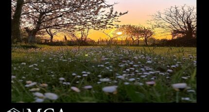 Saint-Genès-de-Fronsac Terrain à bâtir - 2379709-11687annonce220260102hhX82.jpeg Maisons Open