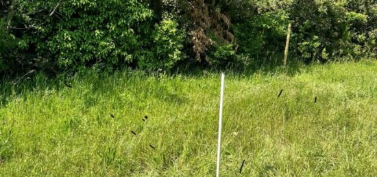 Terrain à bâtir à Ollioules, Provence-Alpes-Côte d'Azur