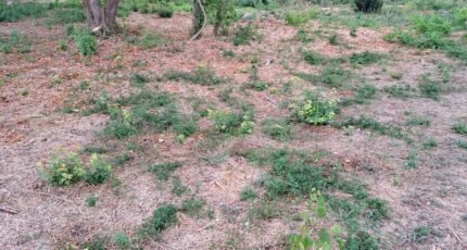 Fuveau Terrain à bâtir - 2380075-11041annonce320260103TqTZh.jpeg Maisons Open