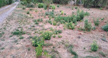 Fuveau Terrain à bâtir - 2380075-11041annonce420260103aiFcy.jpeg Maisons Open