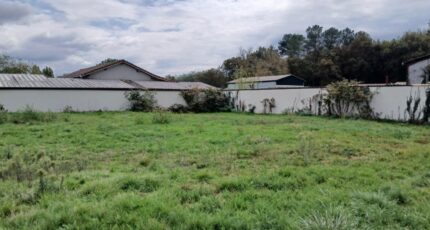 Saint-Magne Terrain à bâtir - 2380228-11193annonce120260104MUFhq.jpeg Maisons Open