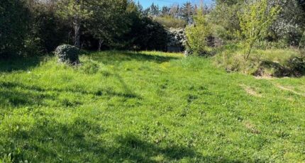 Le Taillan-Médoc Terrain à bâtir - 2225577-11016annonce120250716OVSxD.jpeg Maisons Open