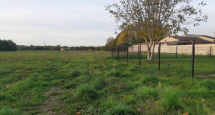 Castelnau-d'Estrétefonds Terrain à bâtir - 2328006-5202annonce320251104ovrZZ.jpeg Maisons Open