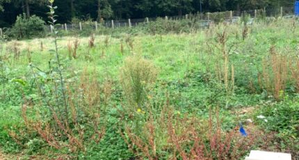 Baulne Terrain à bâtir - 2341081-10626annonce120251117iyfiO.jpeg Maisons Open