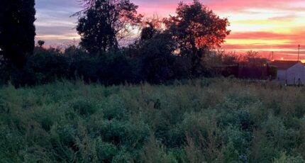 Cognac Terrain à bâtir - 2324234-10974annonce120251031kyPON.jpeg Maisons Open