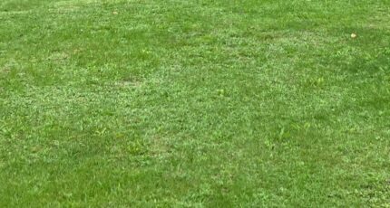 Saintes Terrain à bâtir - 2356788-10974annonce120251204u5OIF.jpeg Maisons Open