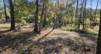 Bagnols-en-Forêt Terrain à bâtir - 2380556-5163annonce220260105DTR5w.jpeg Maisons Open