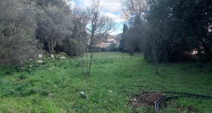 Camps-la-Source Terrain à bâtir - 2380646-5922annonce120260105Awl6h.jpeg Maisons Open