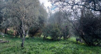 Camps-la-Source Terrain à bâtir - 2380646-5922annonce420260105B481V.jpeg Maisons Open