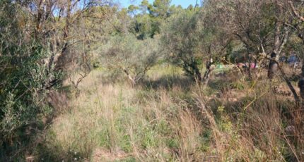 Carnoules Terrain à bâtir - 2380670-5922annonce120260105sHS5k.jpeg Maisons Open