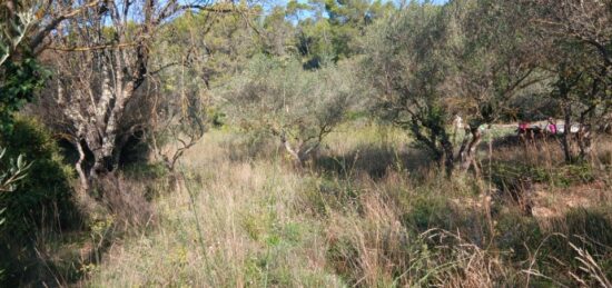 Terrain à bâtir à , Var