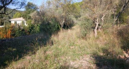 Carnoules Terrain à bâtir - 2380670-5922annonce320260105GiQyF.jpeg Maisons Open