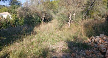 Carnoules Terrain à bâtir - 2380670-5922annonce420260105CyskB.jpeg Maisons Open