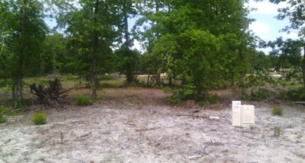 Labouheyre Terrain à bâtir - 2380738-3127annonce1202503205rRsd.jpeg Maisons Open