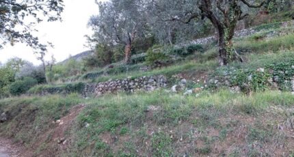 Châteauneuf-Villevieille Terrain à bâtir - 2326795-10140annonce2202511033hdTu.jpeg Maisons Open