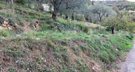 Châteauneuf-Villevieille Terrain à bâtir - 2326795-10140annonce320251103br0a6.jpeg Maisons Open