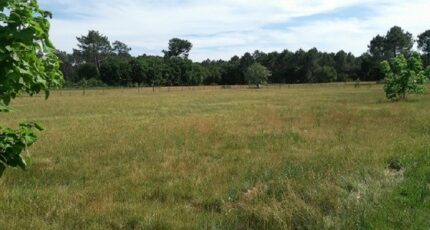 Le Barp Terrain à bâtir - 2380989-3127annonce120250711ASW61.jpeg Maisons Open