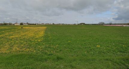 Nieulle-sur-Seudre Terrain à bâtir - 2381040-11163annonce1202508192ElTf.jpeg Maisons Open