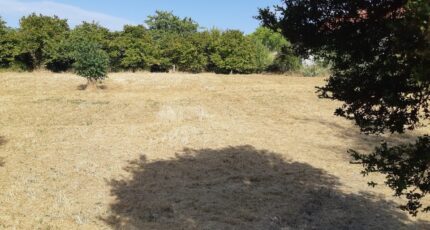 Matha Terrain à bâtir - 2381057-1046annonce1202507091ECXy.jpeg Maisons Open