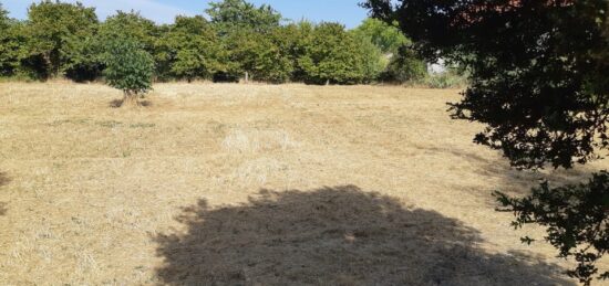 Terrain à bâtir à , Charente-Maritime