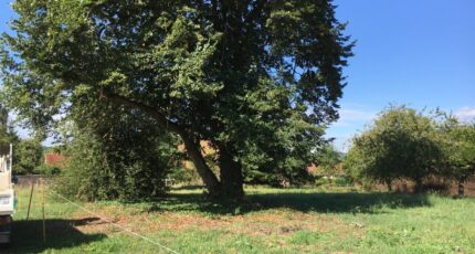 Bazoches-sur-Guyonne Terrain à bâtir - 2322691-10686annonce120250709sIaAu.jpeg Maisons Open