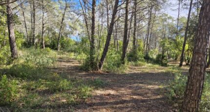 Bagnols-en-Forêt Terrain à bâtir - 2381454-5163annonce220260105ssy8d.jpeg Maisons Open