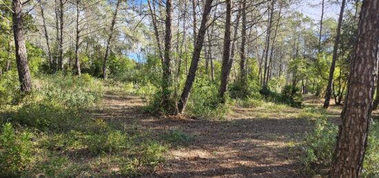 Terrain à bâtir à , Var