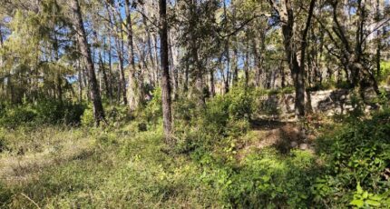 Bagnols-en-Forêt Terrain à bâtir - 2381454-5163annonce320260105RfIMB.jpeg Maisons Open