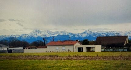 Oursbelille Terrain à bâtir - 2327271-10558annonce220250203iQplL.jpeg Maisons Open