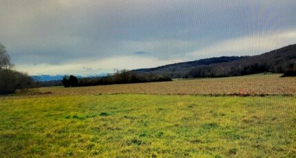 Oursbelille Terrain à bâtir - 2327271-10558annonce320250203IuEN4.jpeg Maisons Open